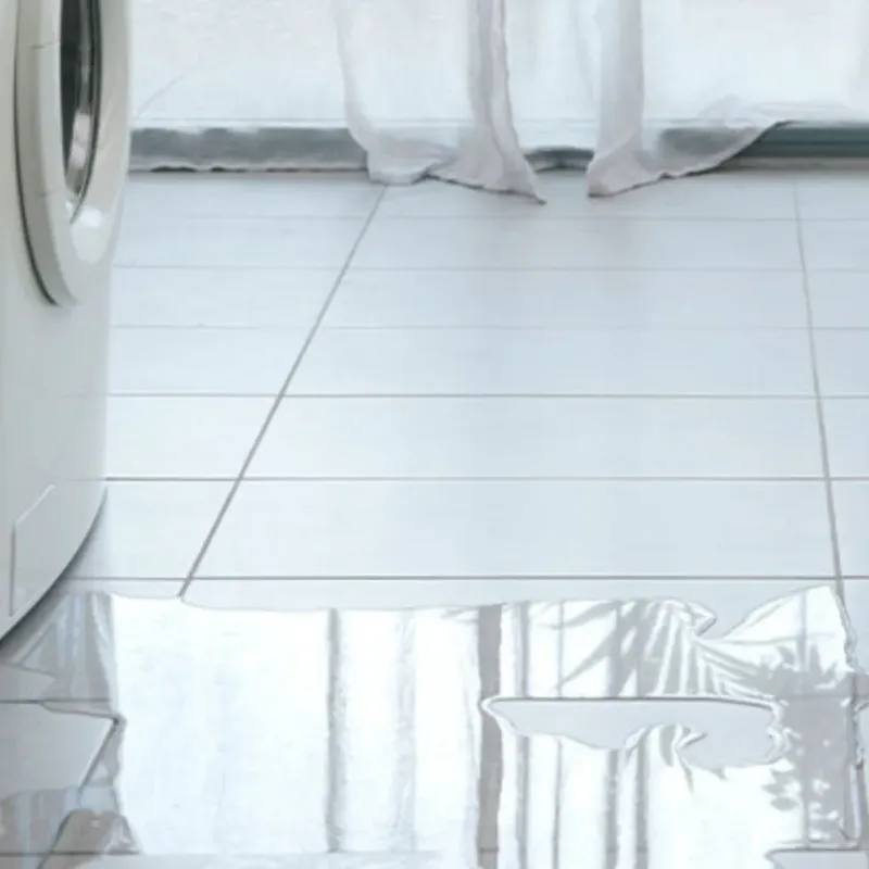 Appliance Leak Cleanup in Algonac, MI