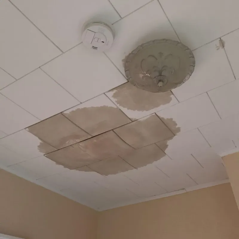 Ceiling Water Damage Repair in Algonac, MI