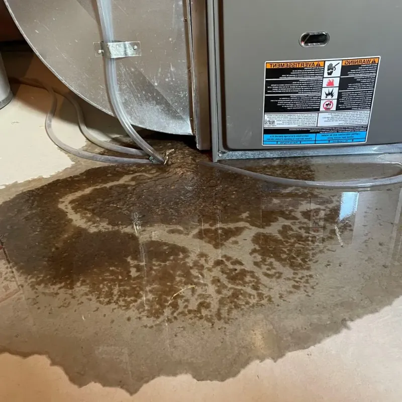 Pipe Burst and Leak Restoration in Algonac, MI
